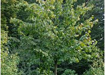 Environnement : Vive la Brigade verte !