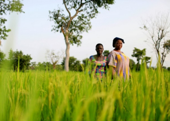 L&rsquo;UNICEF appelle les gouvernements à prendre des mesures urgentes face à l&rsquo;ampleur des conséquences du réchauffement climatique sur les enfants à travers le monde.