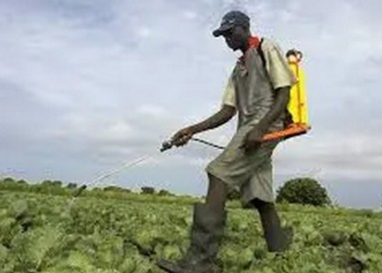 Environnement et assainissement : Plus de 200 Maliens décèdent chaque année en raison de l&rsquo;utilisation de produits chimiques.