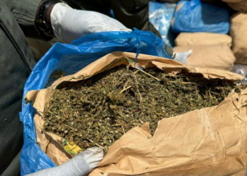 Afrique de l’Ouest : expansion du fléau de la drogue (rapport)