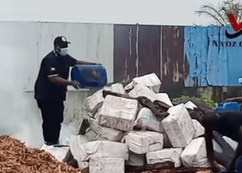 La Guinée-Bissau incinère 2,6 tonnes de cocaïne