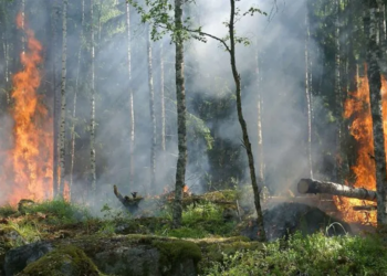 Changement climatique et activités minières : Sassandra et Niger, l’agonie de deux fleuves en Côte d’Ivoire et au Mali