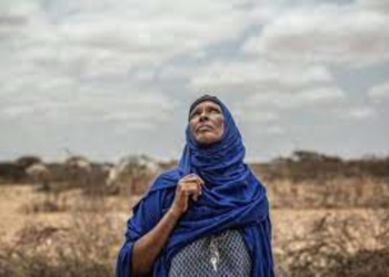 CRISE CLIMATIQUE: LES PAYS DU SAHEL DANS LA FOURNAISE