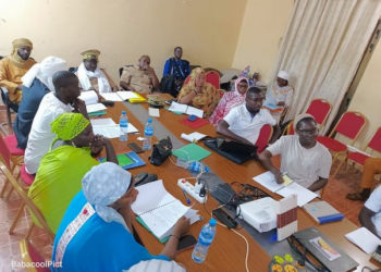 Gao  : Atelier de Renforcement des Capacités des Acteurs des Droits de l&rsquo;Homme