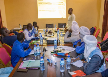 Atelier de Renforcement des Capacités à Gao pour Améliorer la Préparation et la Réponse aux Catastrophes