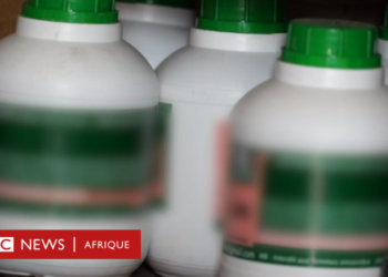 Produits aphrodisiaques 100% naturels sur le marché : Le Laboratoire National de la Santé en interdit l’usage