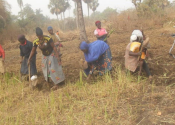 Les femmes en première ligne dans la lutte contre la sécheresse : un engagement fort (CNULCD)