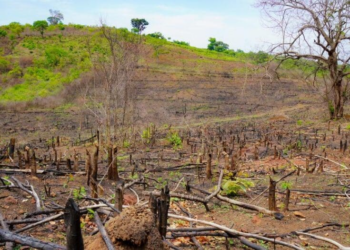 Guinée : le Massif du Fouta Djallon, un « château d’eau » vital et menacé