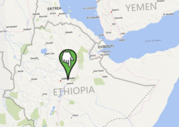 L’Ethiopie a planté 3,2 milliards d’arbres en cinq ans