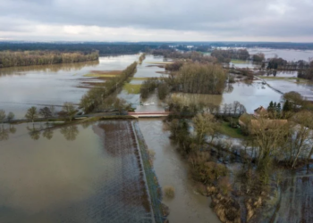 Crise climatique : le revenu mondial va chuter d’ici 2050