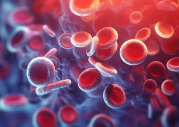 Niger : plus de 9.780 nouveaux cas de cancer détectés cette année