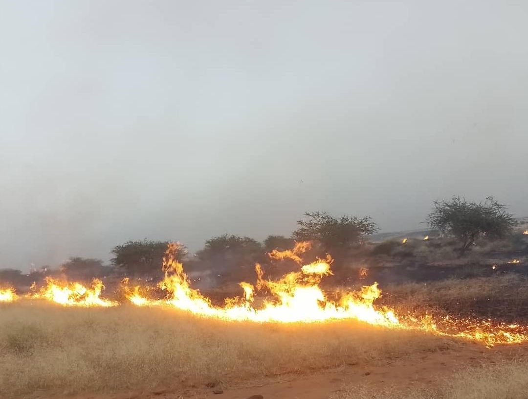 un incendie de brousse dévore les pâturages