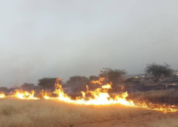 un incendie de brousse dévore les pâturages