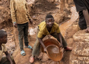 COP29 : pour une transition énergétique équitable (Guterres)