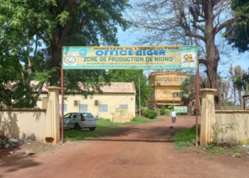 Zone Office du Niger : les djihadistes en maîtres incontestés, dictent leur loi