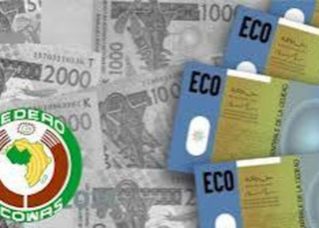 Cédéao : des avancées concrètes vers l’ECO