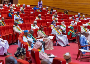 Séance Plénière au CNT: Adoption du projet de loi portant Autorisation du Gouvernement par le Conseil national de Transition à prendre certaines mesures par ordonnances.