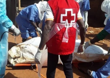 Guinée : un malien retrouvé mort près de son véhicule