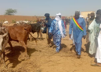 Réouverture du marché de bétail de Gao 