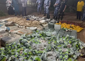 Bamako : Un réseau criminel international neutralisé par la Brigade Mobile d’Intervention