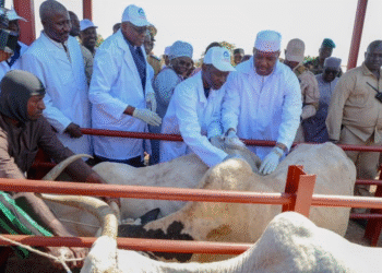 Mali : le Premier ministre lance la campagne de vaccination de plus de 83 millions d’animaux