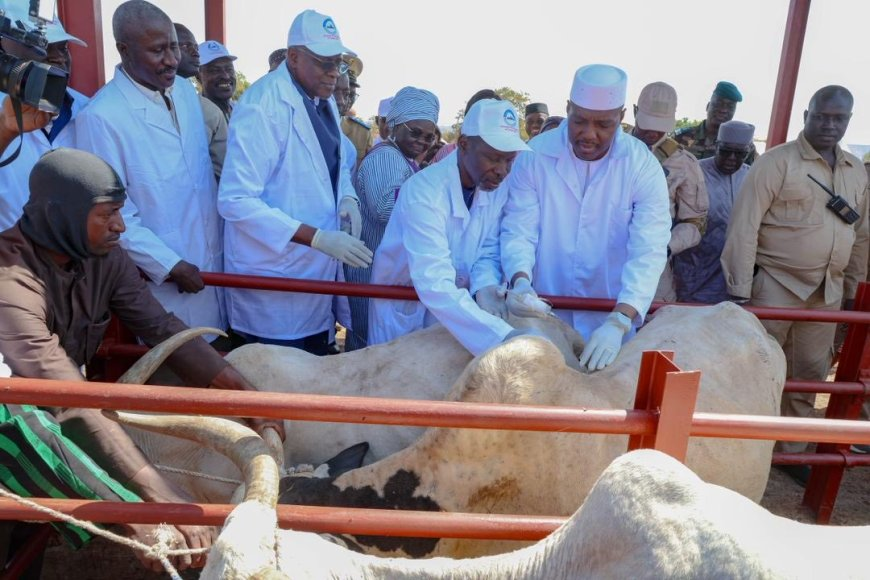 Mali : le Premier ministre lance la campagne de vaccination de plus de 83 millions d’animaux