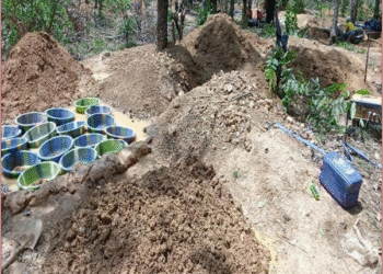 Mali : l’orpaillage et le changement climatique déciment la forêt de Lougouani