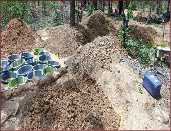 Mali : l’orpaillage et le changement climatique déciment la forêt de Lougouani