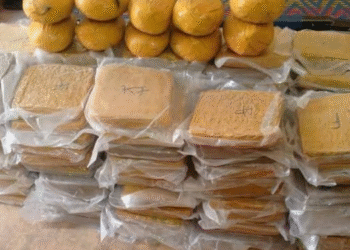 Trafic de drogue : 120 briques de cannabis saisies à Koutiala