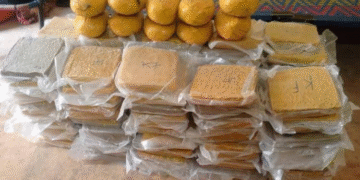 Trafic de drogue : 120 briques de cannabis saisies à Koutiala