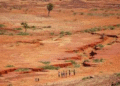 Les traditions pastorales séculaires du Mali dépérissent avec le changement climatique
