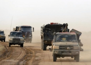 Mali : plusieurs dizaines de combattants terroristes neutralisés lors de frappes aériennes