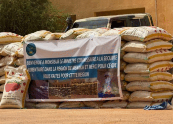 Ménaka reçoit 535 tonnes de céréales, un soulagement pour des milliers de familles