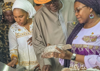 Safo : plus de 27 600 tonnes de poisson frais attendues sur les marchés maliens