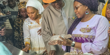 Safo : plus de 27 600 tonnes de poisson frais attendues sur les marchés maliens