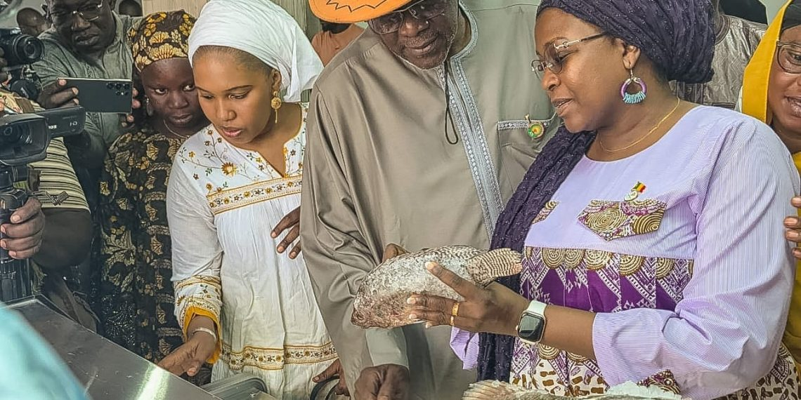 Safo : plus de 27 600 tonnes de poisson frais attendues sur les marchés maliens