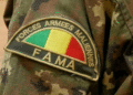 Mali : Les FAMa mènent des frappes contre des groupes armés terroristes à Gao