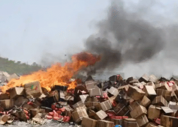 Mali : l’OCS incinère plus de 161 tonnes de produits prohibés à Dio-Gare