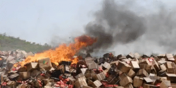 Mali : l’OCS incinère plus de 161 tonnes de produits prohibés à Dio-Gare